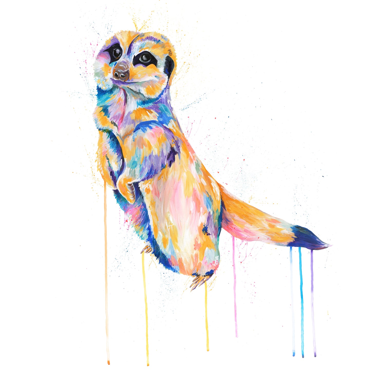 Meerkat - Otacon