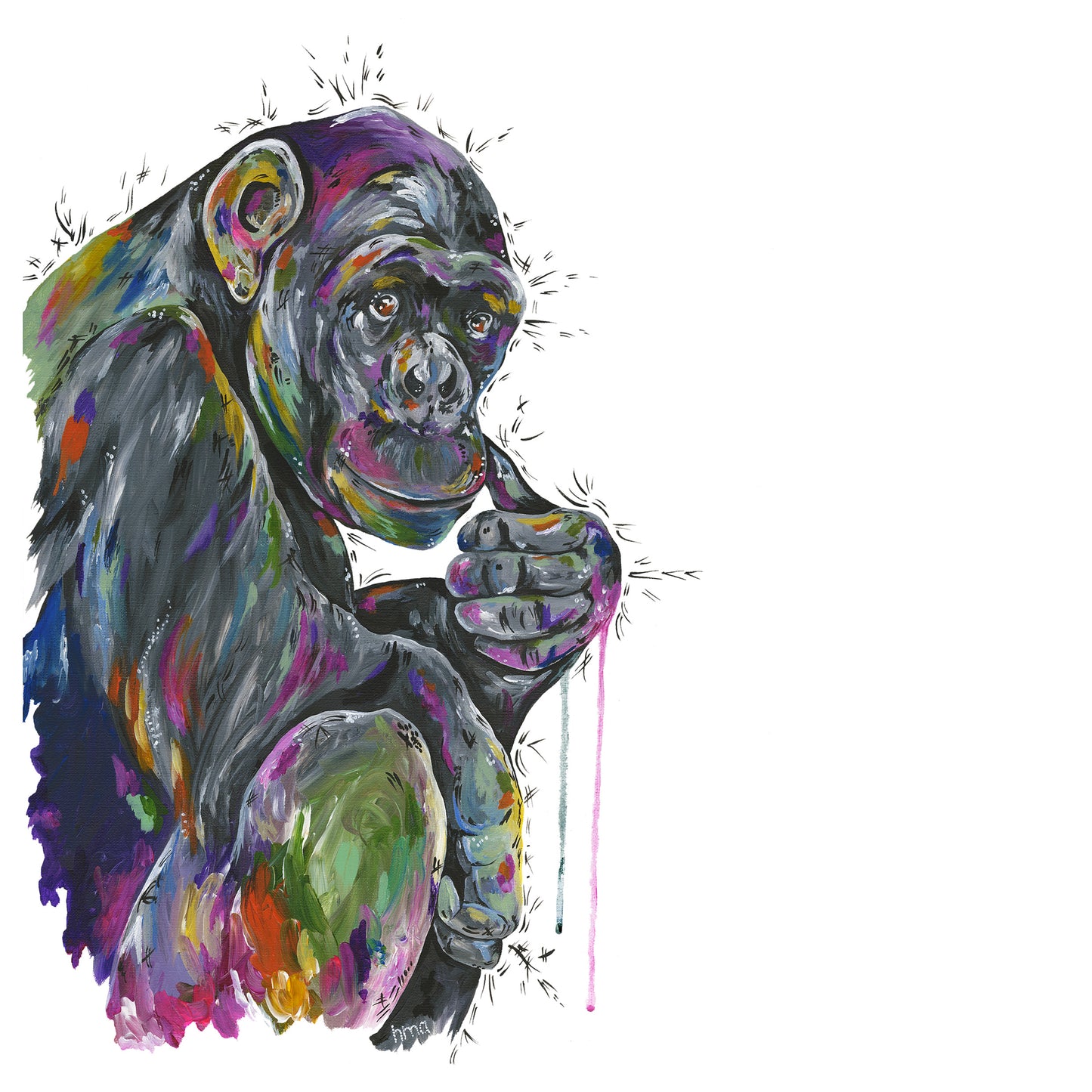 Chimp - Caracas