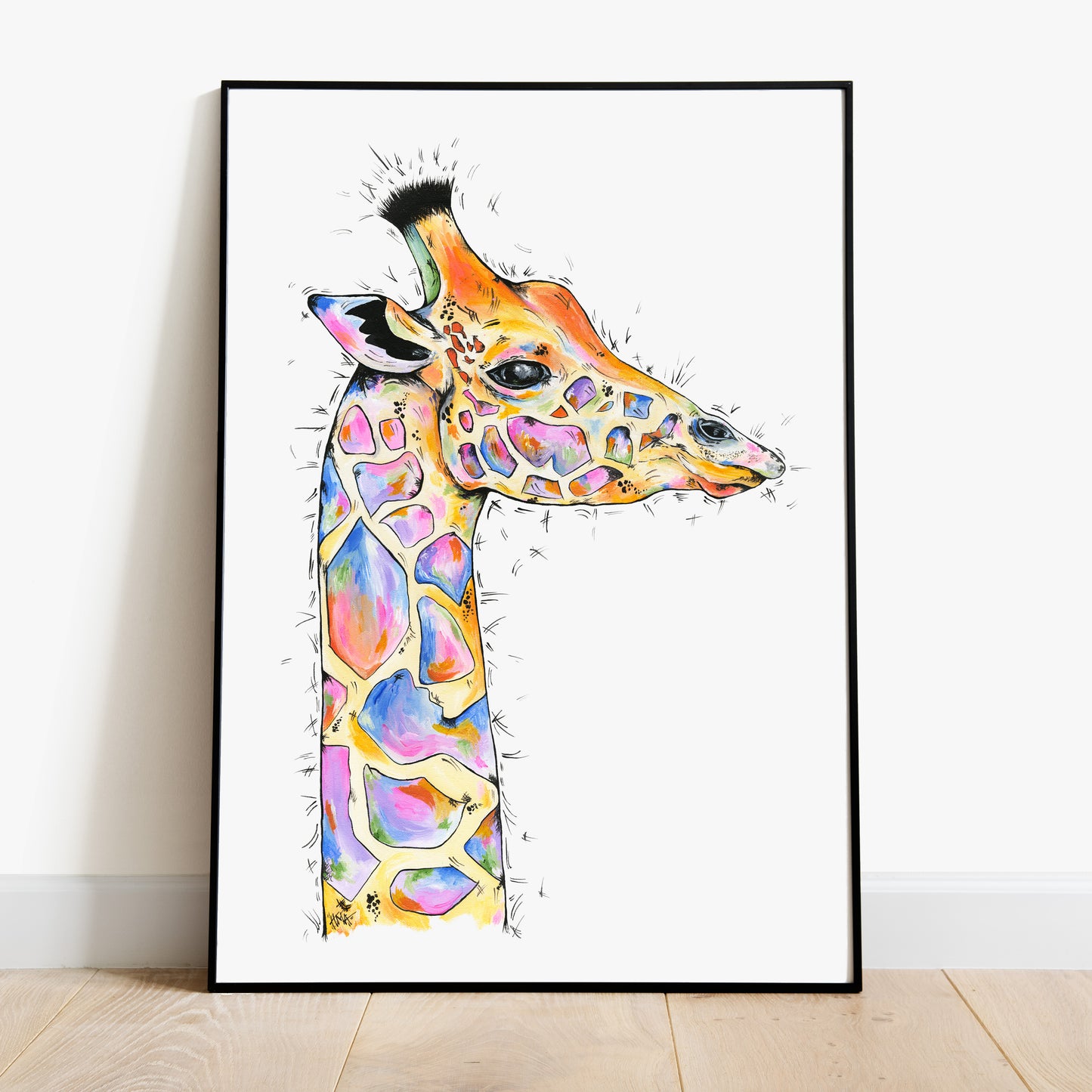 Giraffe - Acacia