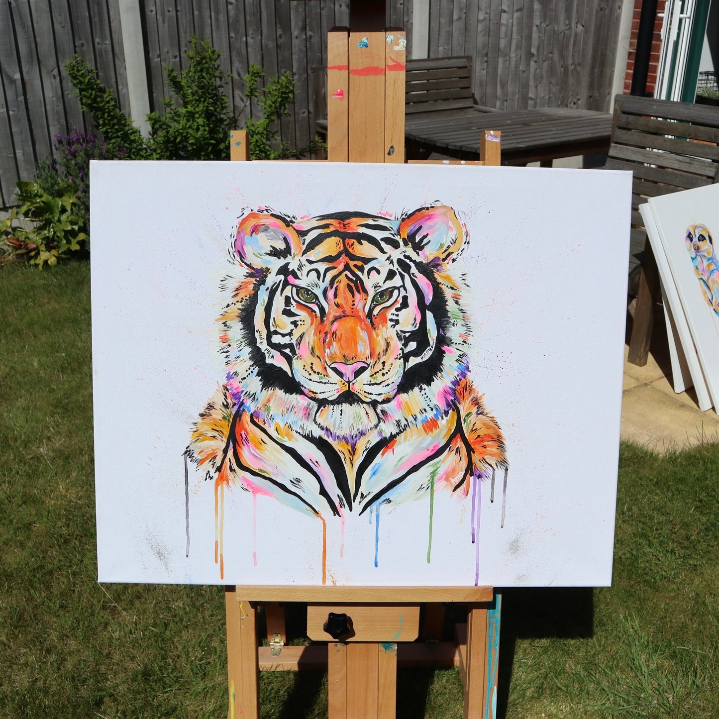Tiger - Hildebrand