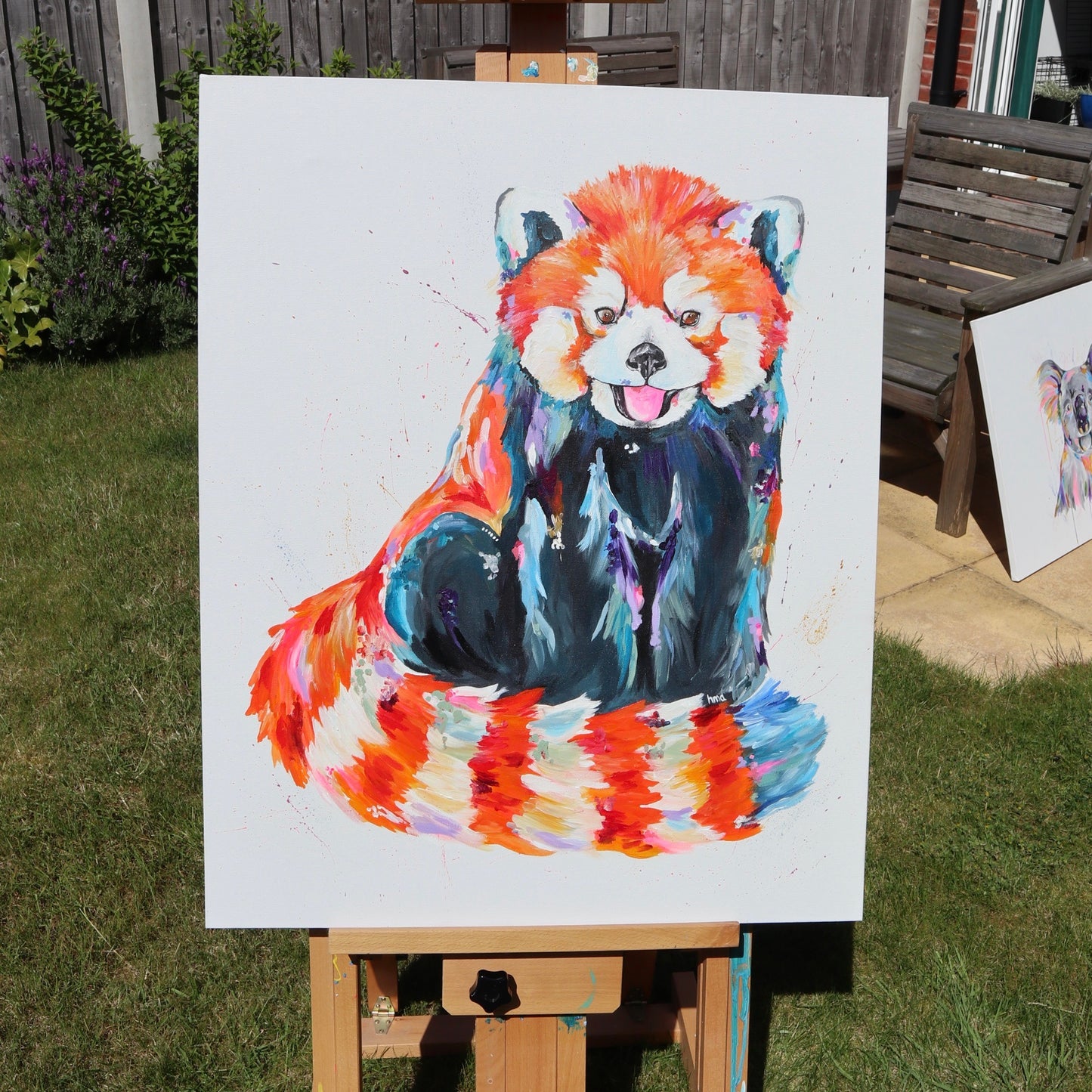 Red Panda - Rumpus