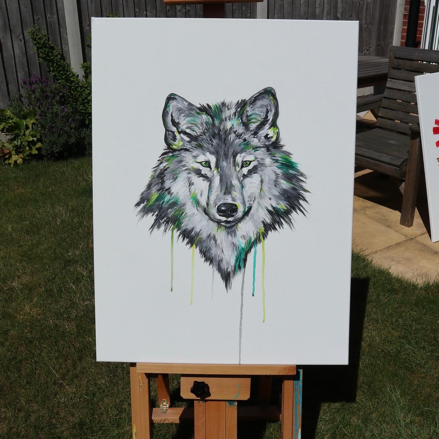 Wolf - Corrado