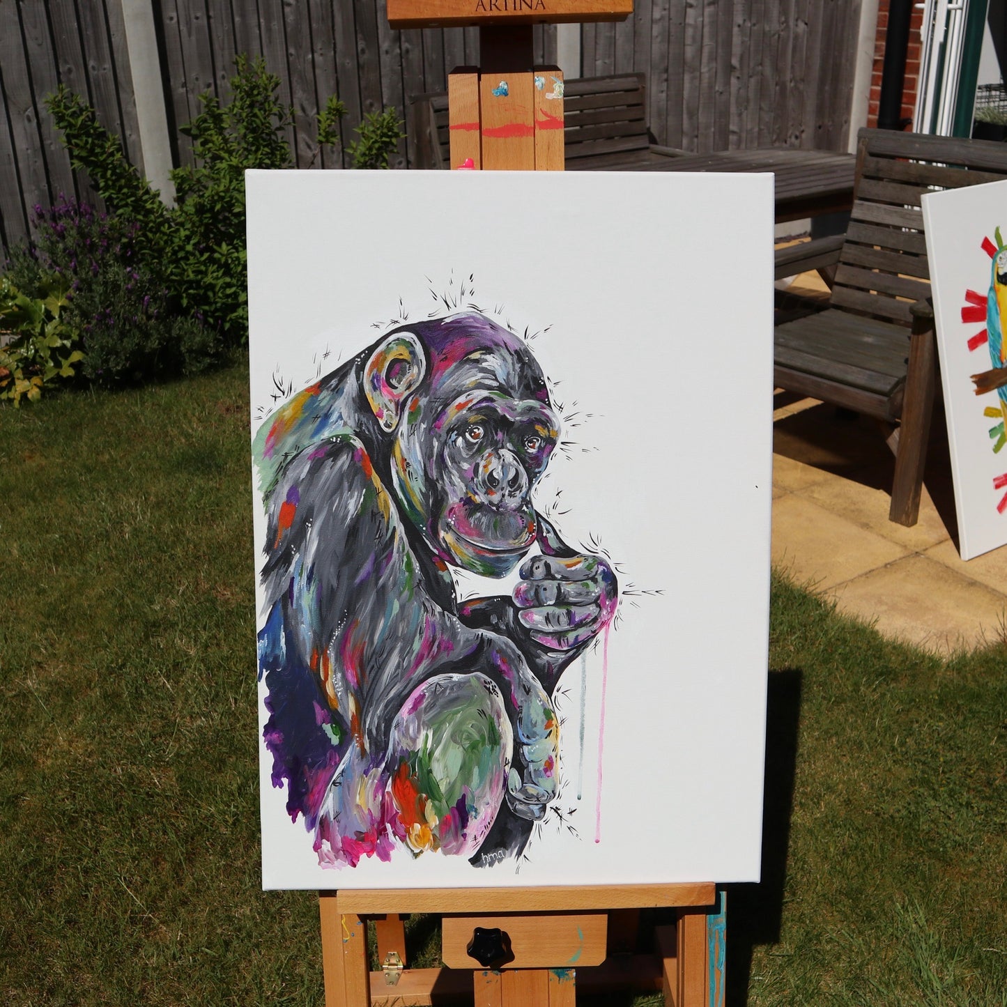 Chimp - Caracas