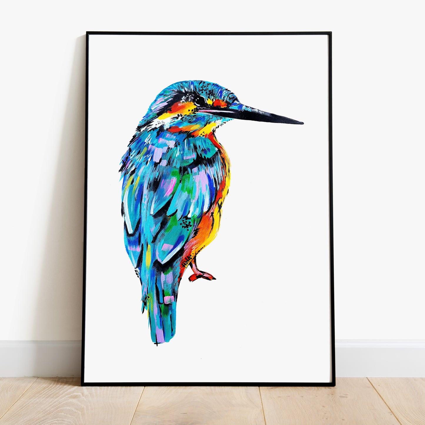 Kingfisher - Alcedo