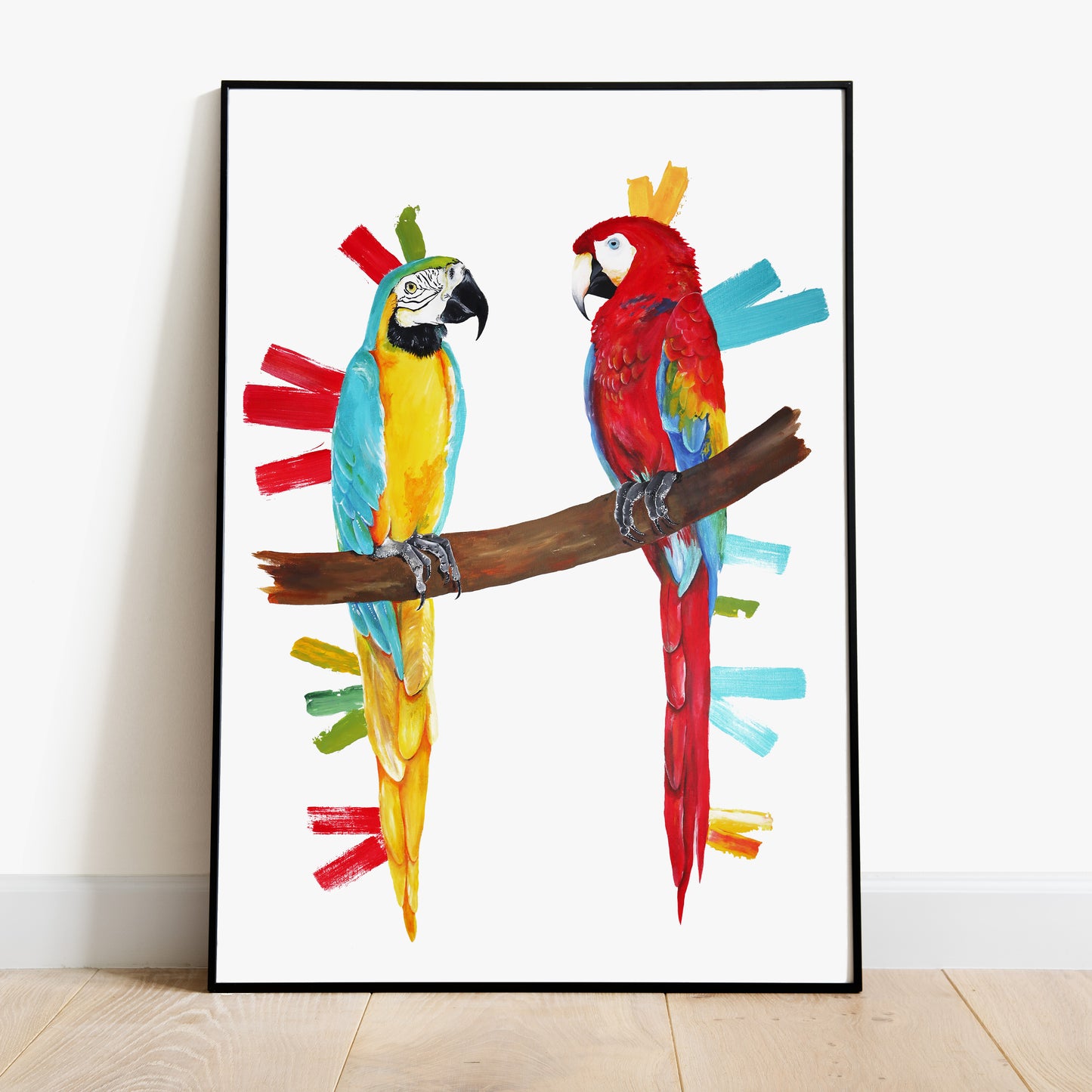 Macaws - Amigos