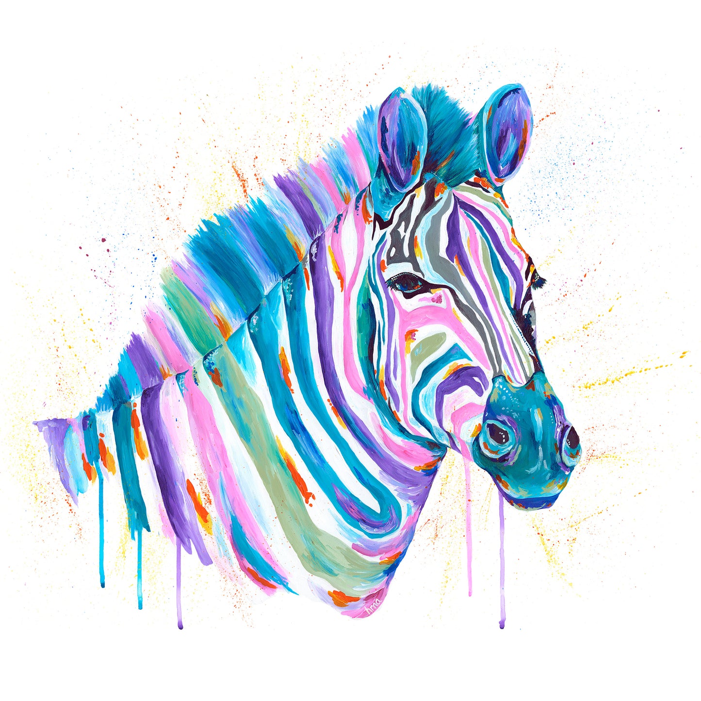 Zebra - Gwendolyn