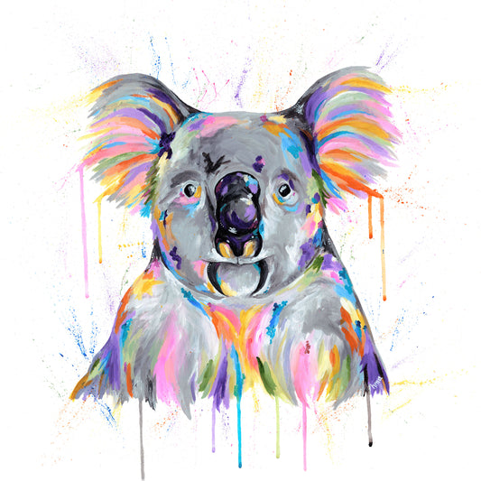 Koala - Kooky