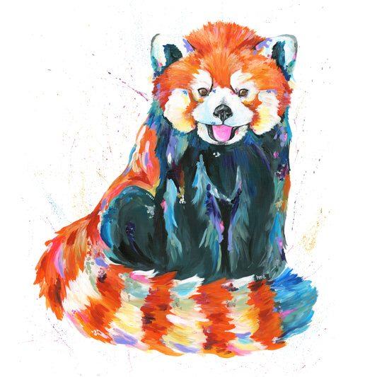 Red Panda - Rumpus