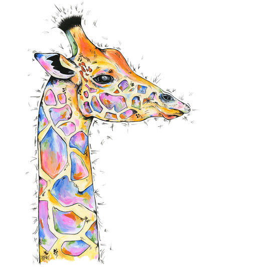 Giraffe - Acacia