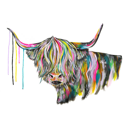 Highland Cow - Bo