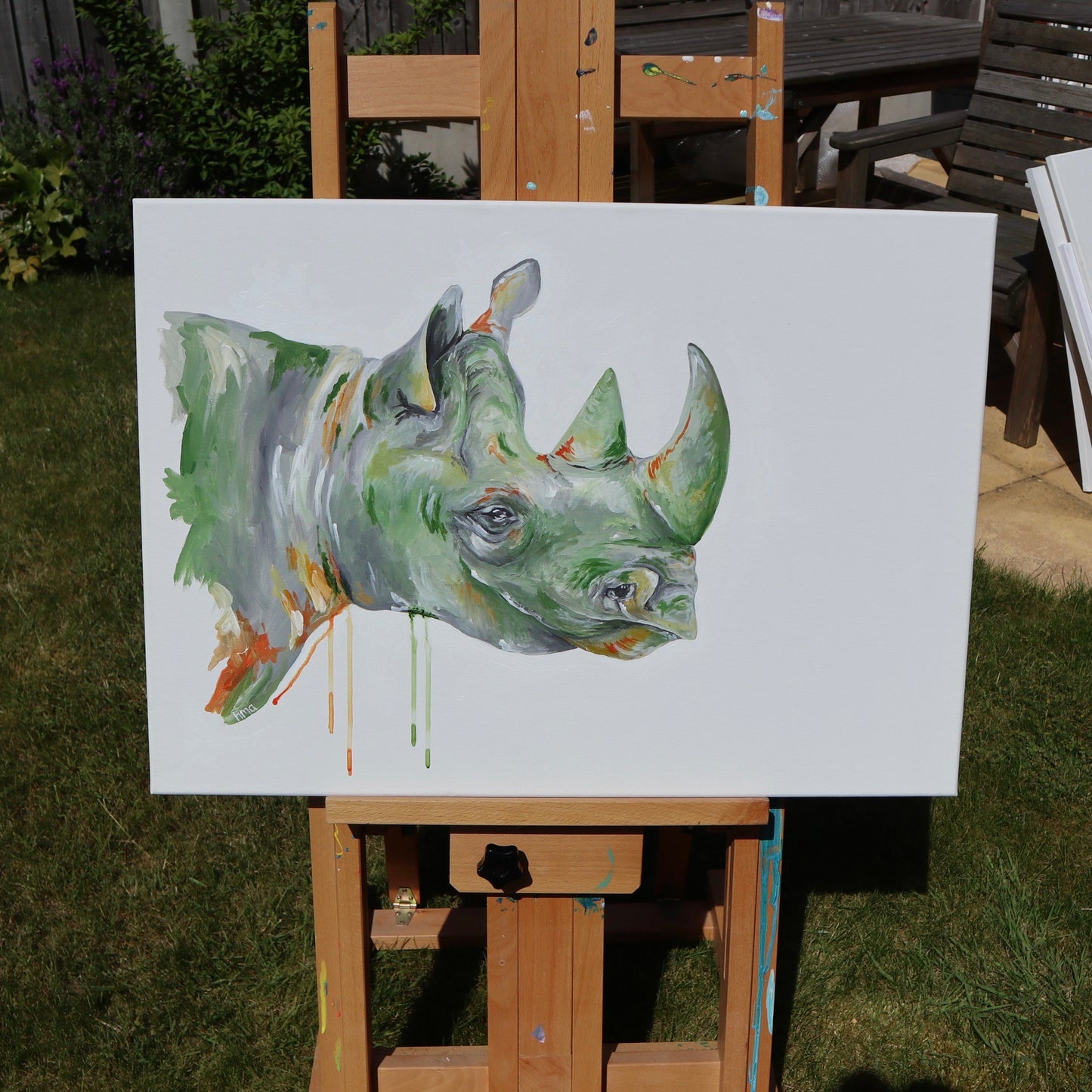 Rhino - Lunchbox