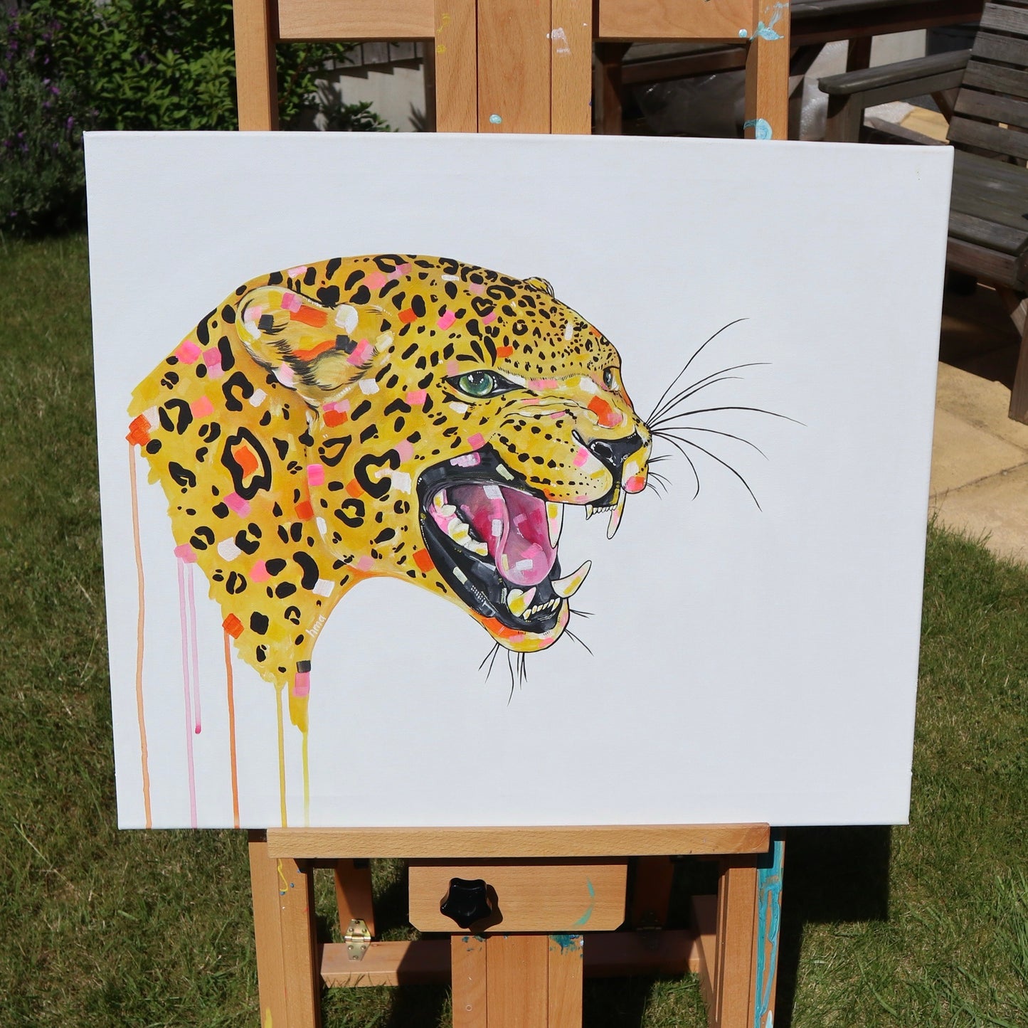 Leopard - Larry