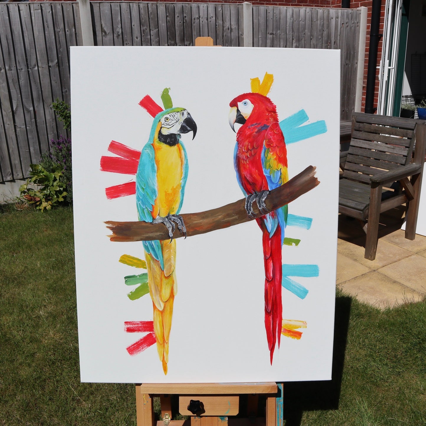 Macaws - Amigos