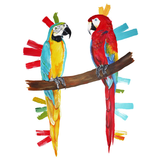 Macaws - Amigos